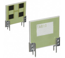 TA810PW100RJE